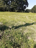 Terrain à bâtir à la vente